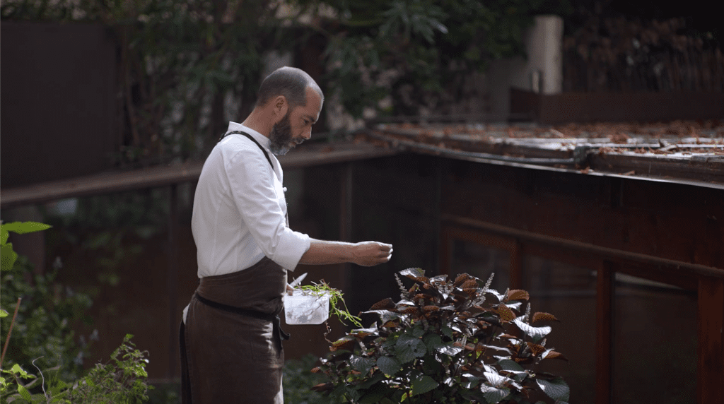 «La cocina salvaje se refiere a la comunión con la naturaleza y la intensidad de una cocina que no teme mostrarse tal y como es»