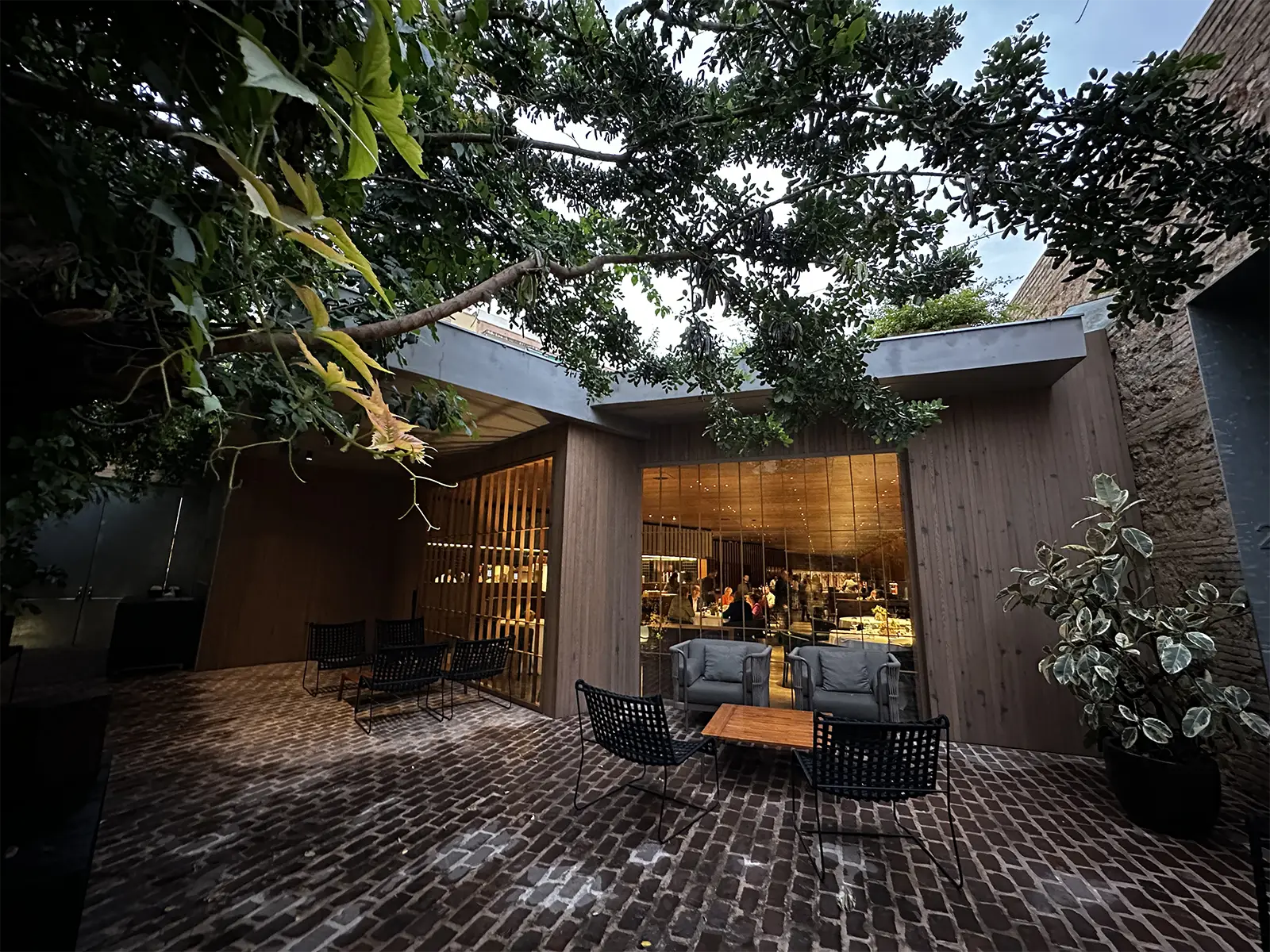 LaClimateria_RicardCamarena