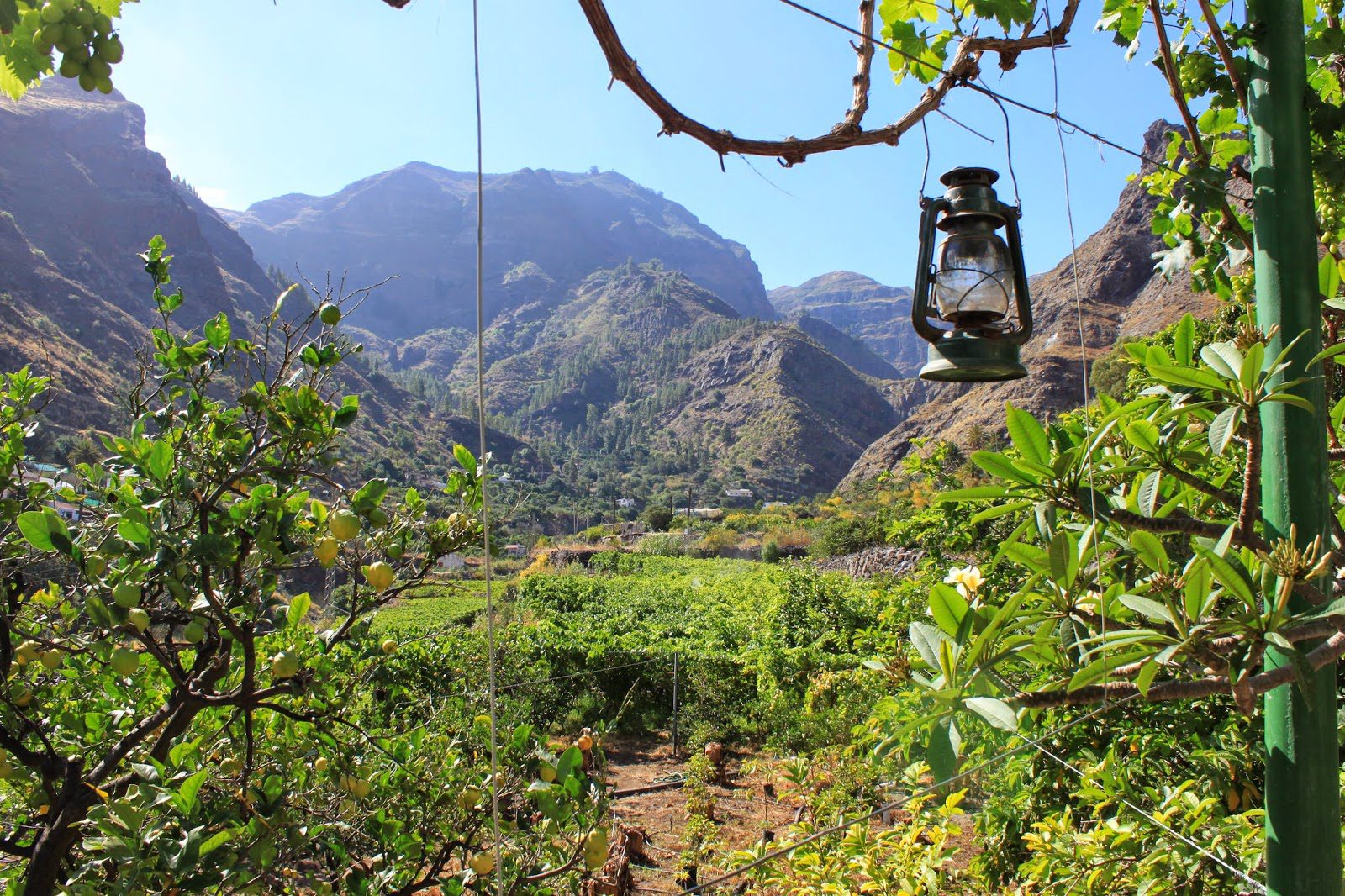 LaClimateria_LosBerrazales